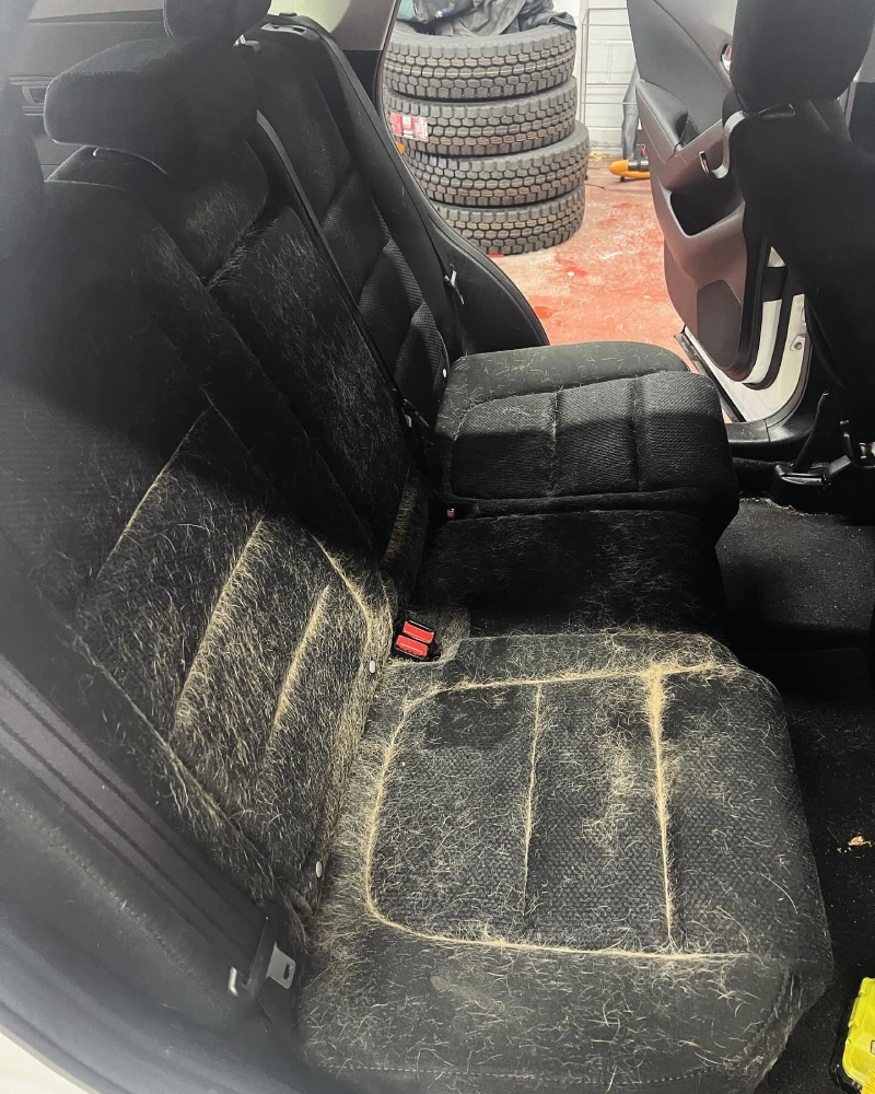 Mobile Car Detailing Montgomery County, PA